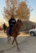 تور و گشت‌های سوارکاری - تصویر 2